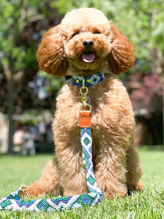 Mexican Set - Collar + Leash