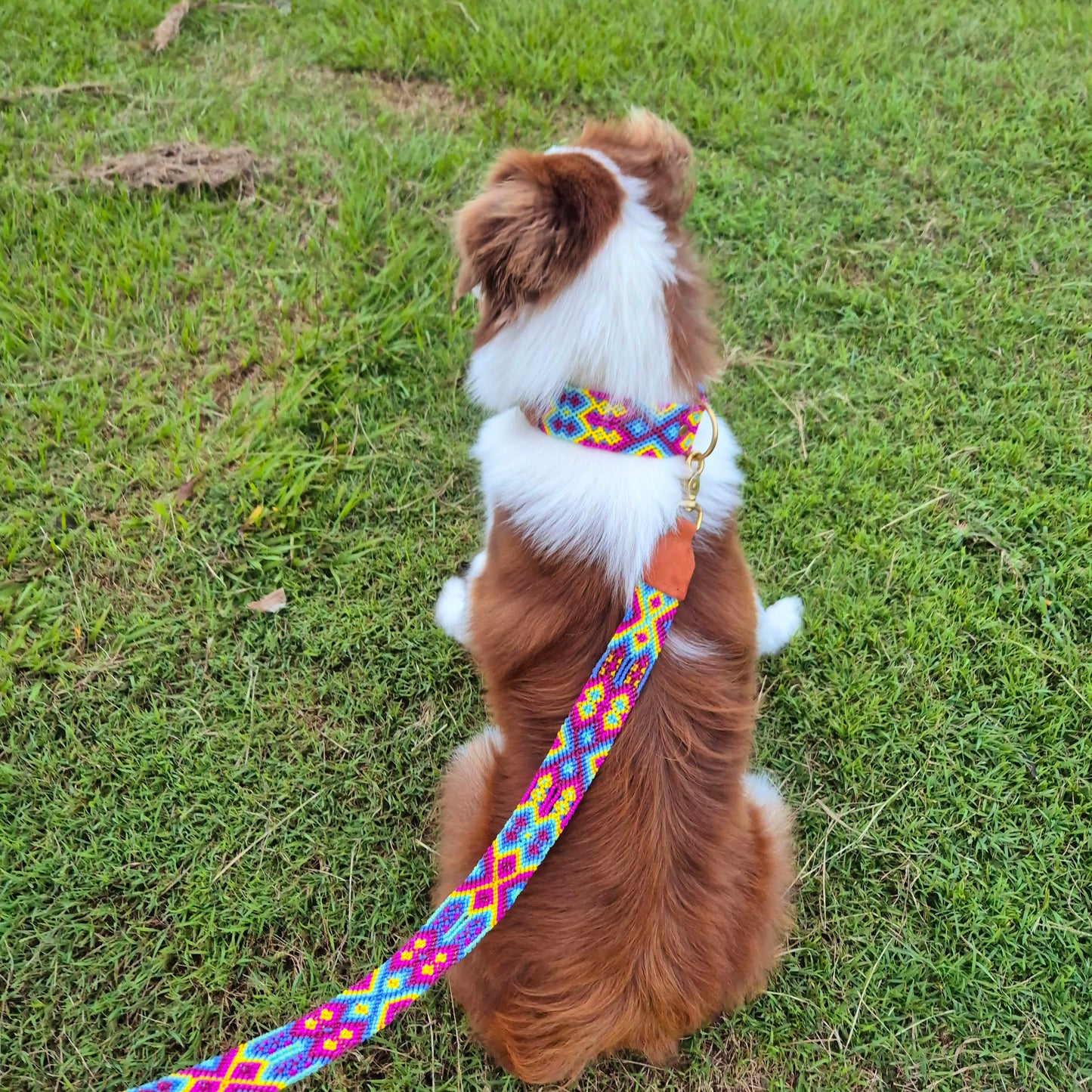 Mexican Set - Collar + Leash