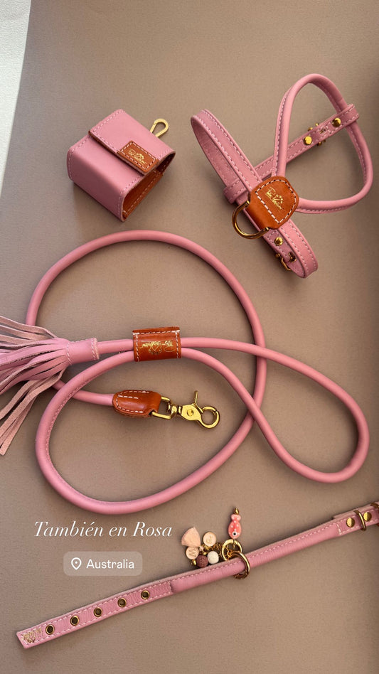 Tokyo Collection - Full set (Collar, leash, poppy)