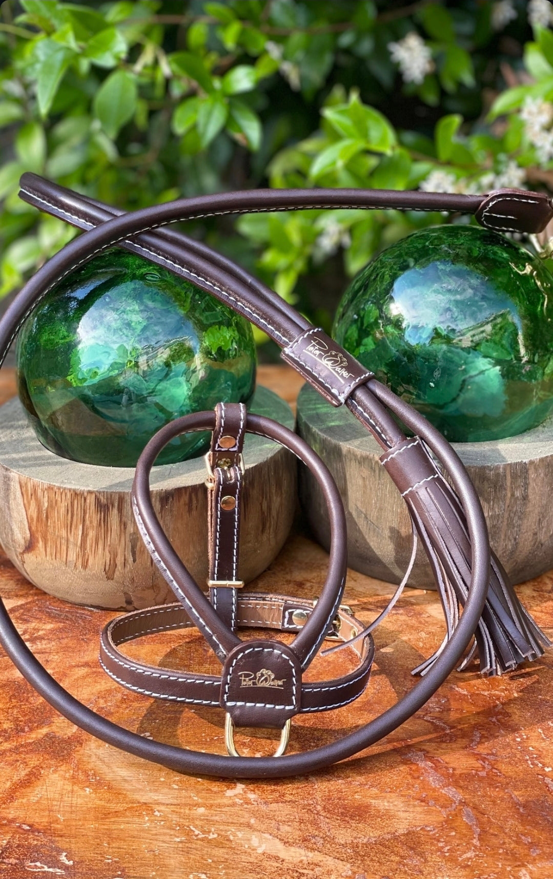Tokyo Collection - Full set (Collar, leash, poppy)