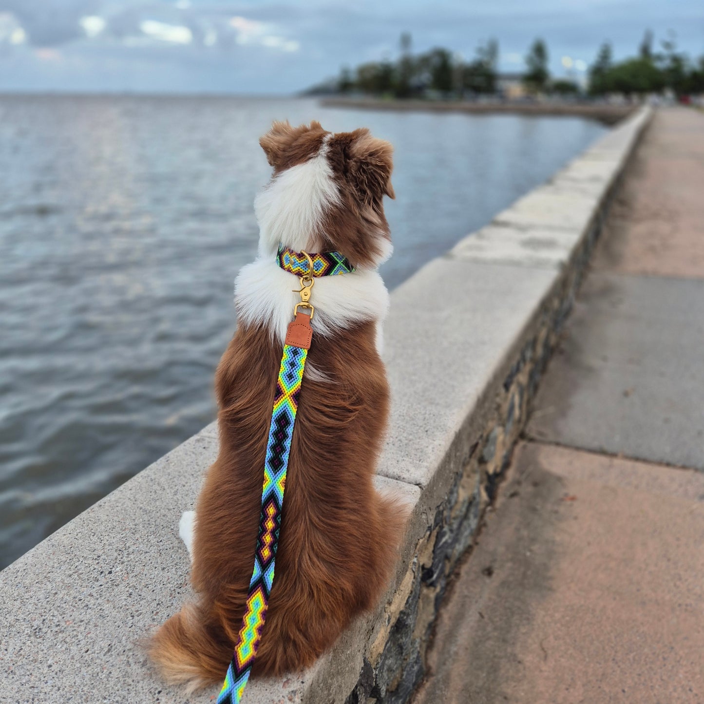 Mexican Set - Collar + Leash