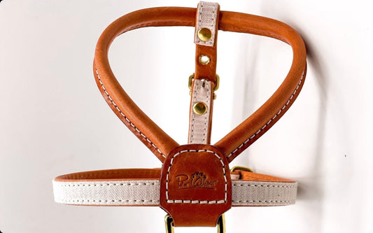 Mar collection set - Harness only