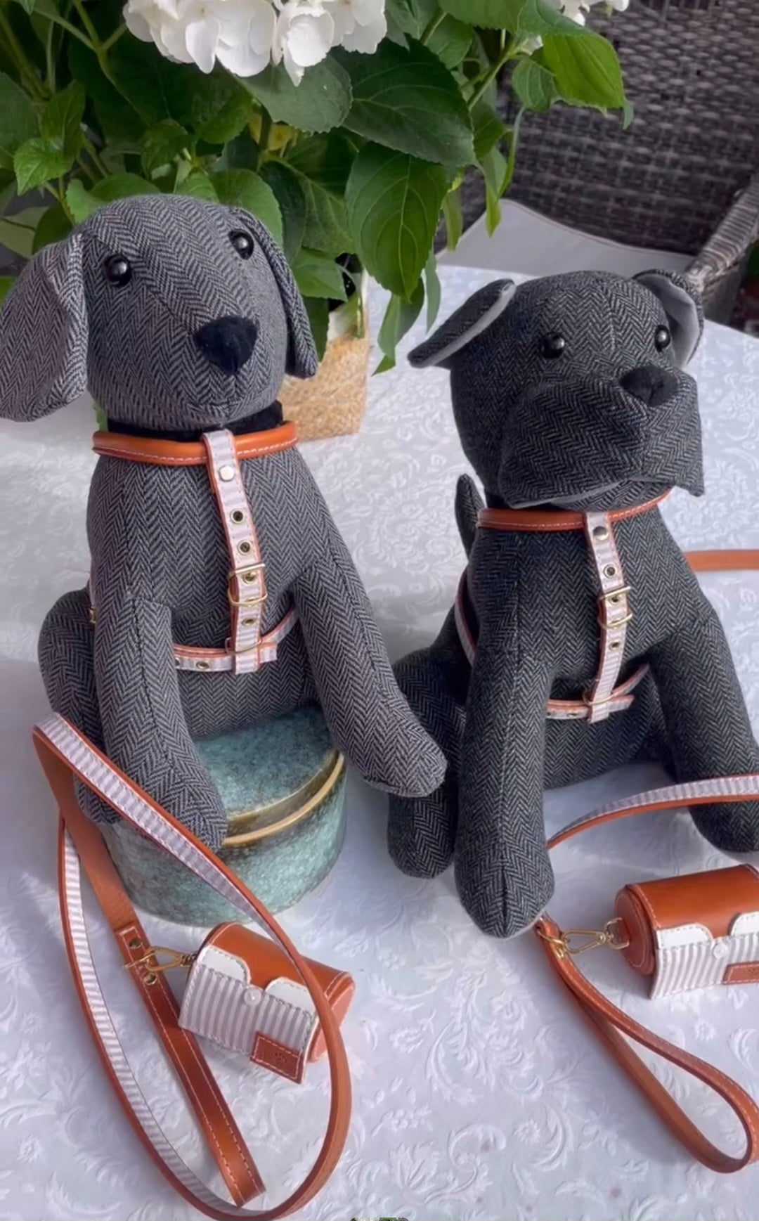 Madrid Dog Harness