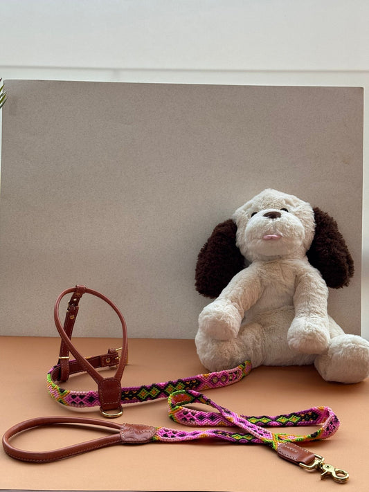 Handmade Mexican collection - Harnesses only